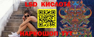 PSILOCYBIN Краснознаменск